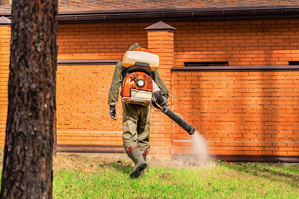 Cockroach Follow-Up and Monitoring in Collierville